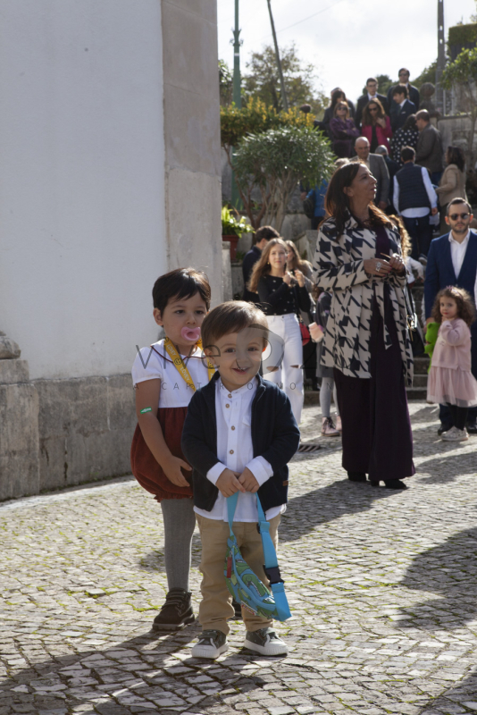Image IMG_3890