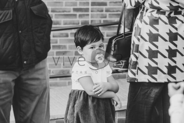 Image IMG_3952