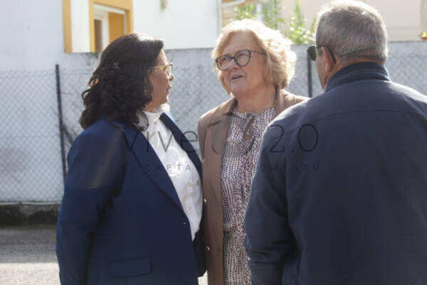 Image IMG_4008