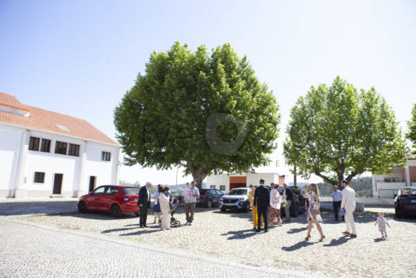 Image IMG_2584