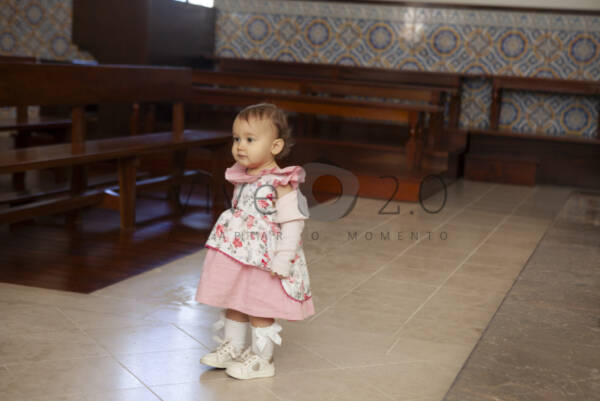 Image IMG_2598